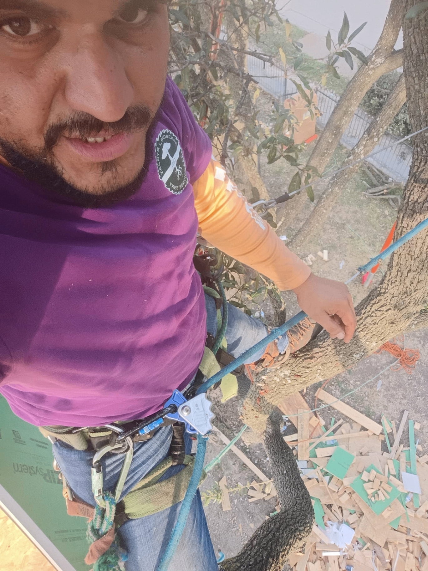 ZLT tree climber in branded shirt working aloft in Grand Prairie, TX