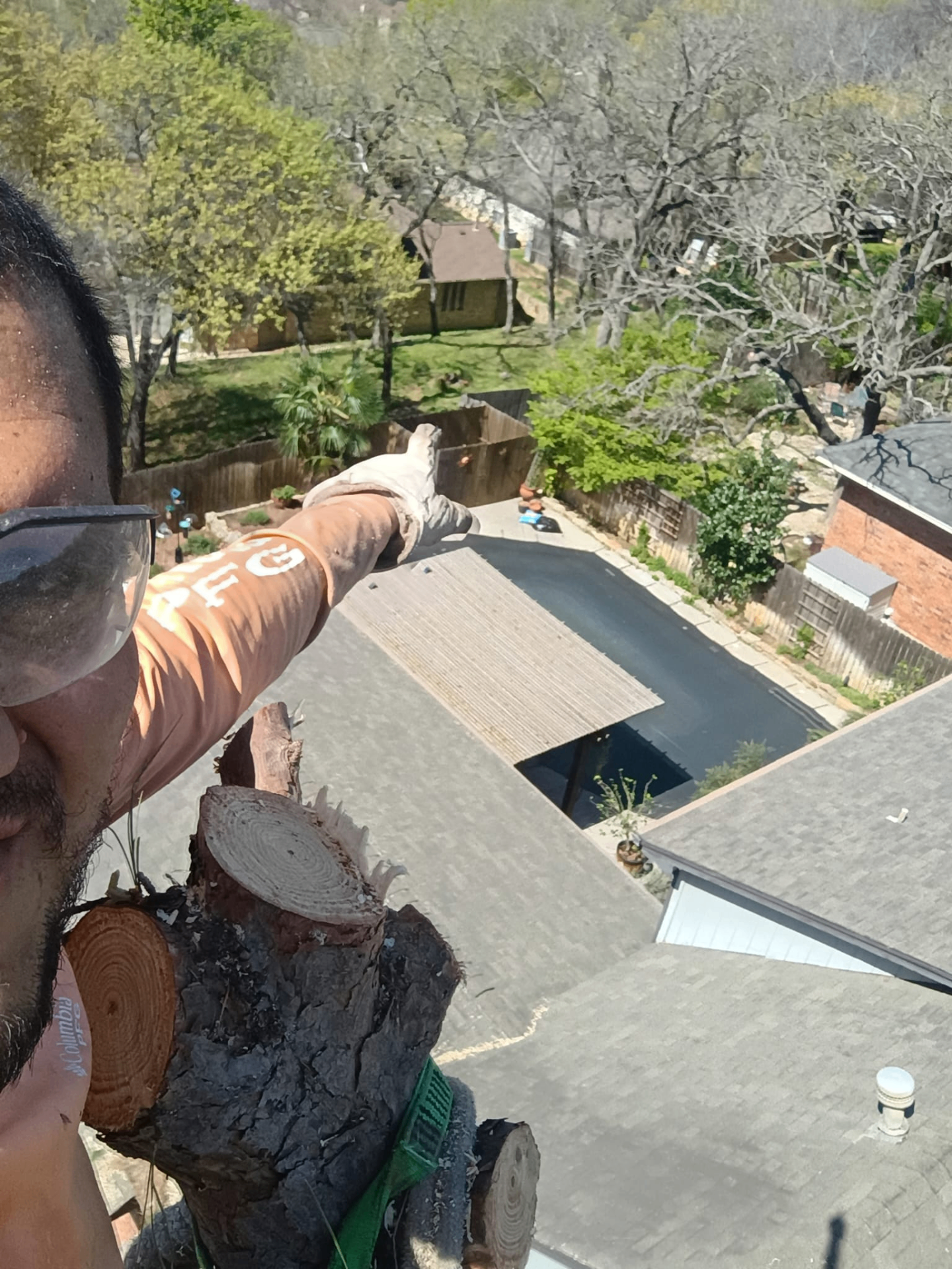 ZLT climber removing a tree above a residential rooftop