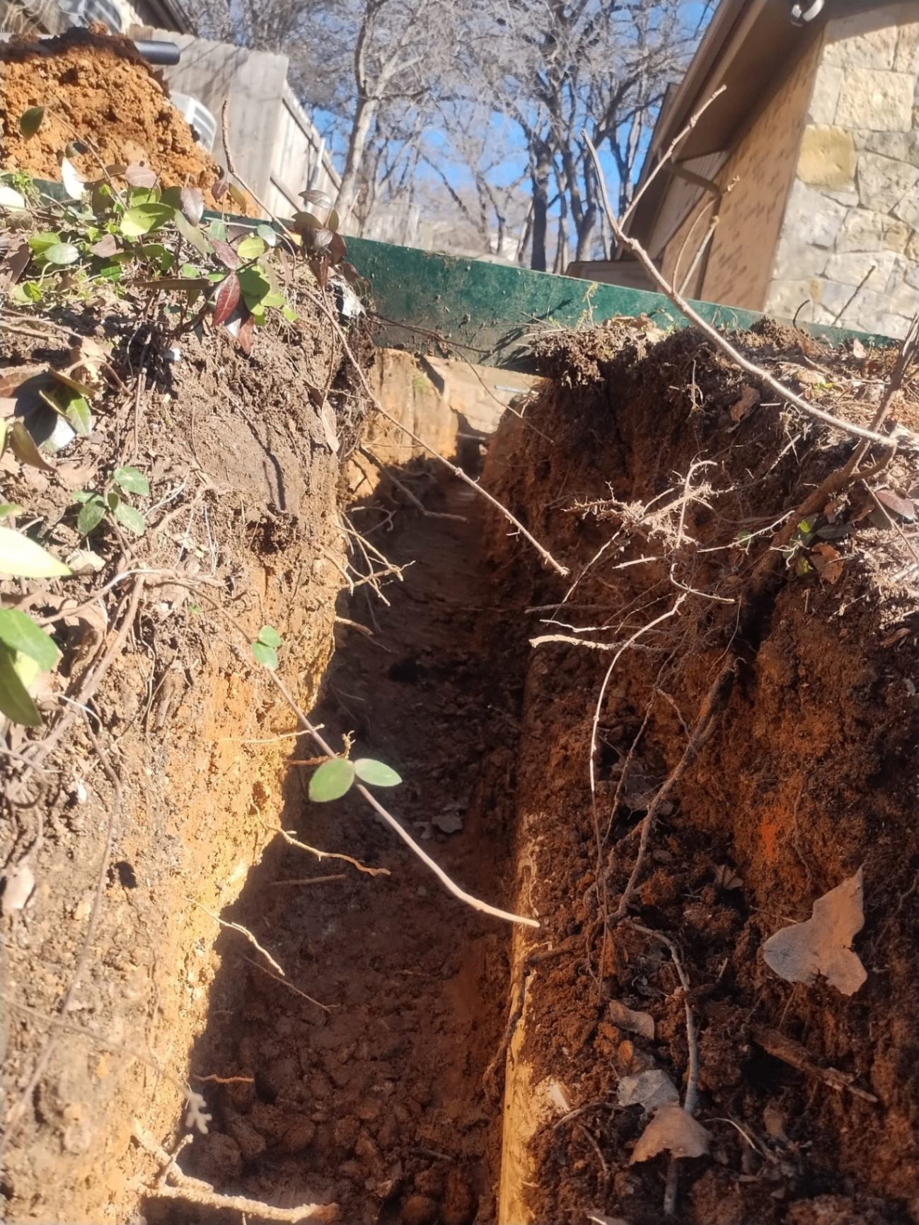 French drain trench with roots exposed during drainage work