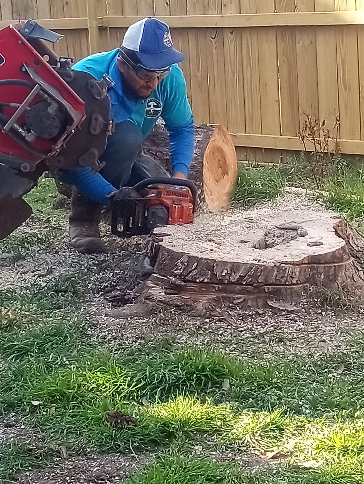 Tree Removal